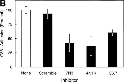 Fig. 3. Effect of TSP cell-binding domain inhibitory antibodies and peptides on SS-RBC adhesion to TSP. (A) Washed SS-RBCs were incubated with control buffer (None), 7N3 peptide FIRVVMYEGKK (7N3, 200 μmol/L, N = 2), 4N1K peptide KRFYVVMWKK (4N1K, 200 μmol/L, N = 2), or both 4N1K and 7N3 peptides (4N+7N, 200 μmol/L, N = 2) for 60 minutes at 37°C before the flow adhesion assay. Treated RBCs were perfused through flow chambers coated with immobilized TSP as described in the legend to Fig 1. Immobilized TSP was incubated with 5 μg/mL purified anti-TSP MoAb 6.7 (C6.7) or isotype-specific control MoAb MBC 35.5 (Control) for 30 minutes at 37°C before performing the flow adhesion assay as described above (N = 3). Similar results were found incubating SS-RBCs with MoAbs in ascites fluid (C6.7 and MBC 35.5, diluted 1:1,000) before the flow adhesion assay (N = 9). (B) G361 cells were incubated with control buffer (None, N = 4), scramble control peptide (Scramble, 200 μmol/L, N = 8) 7N3 peptide (7N3, 200 μmol/L, N = 4), 4N1K peptide (4N1K, 200 μmol/L, N = 4), or immobilized TSP was incubated with anti-TSP MoAb 6.7 (C6.7, N = 4) for 30 to 90 minutes at 37°C before the flow adhesion assay. G361 cells were then perfused through the flow chambers coated with immobilized TSP as described in Fig 1.