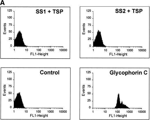 Fig. 5. Soluble TSP does not bind SS-RBCs. Washed SS-RBCs were incubated with purified TSP (1.4 mg/mL) in the presence of 1 mmol/L Ca2+ for 30 minutes, 37°C. Treated RBCs were incubated with the nonblocking anti-TSP MoAb A4.1 (SS1 + TSP, SS2 + TSP), isotype-specific control MoAb MBC 45.7 (Control), or a positive control MoAb directed against glycophorin C (glycophorin C), followed by FITC-conjugated anti-mouse MoAb, and bound TSP detected by flow cytometry. The above data are representative of six separate experiments. (B) Washed SS-RBCs were incubated with purified soluble TSP (100 μg/mL) for 30 minutes at 37°C before performing the flow adhesion assay over immobilized TSP as described above (N = 3).