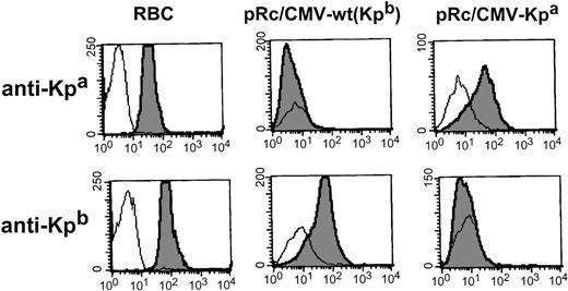 Fig. 2. Expression analysis of Kpa/ Kpbpolymorphism. Flow cytometric analysis of 293T cells transiently transfected either with pRc/CMV-wt encoding the high incidence antigen Kpb or with the Kell cDNA encoding the C961 to T mutation associated with Kpa antigen (pRc/CMV-Kpa). Alloimmune sera used were anti-Kpb (RAU) and anti-Kpa (JH).