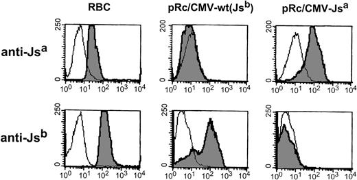 Fig. 3. Expression analysis of Jsa/Jsbpolymorphism. Flow cytometric analysis of 293T cells transiently transfected either with pRc/CMV-wt encoding the high incidence antigen Jsb or with the Kell cDNA encoding the T1910 to C mutation associated with Jsa antigen (pRc/CMV-Jsa). Alloimmune sera used were anti-Jsb (NM) and anti-Jsa (AM).