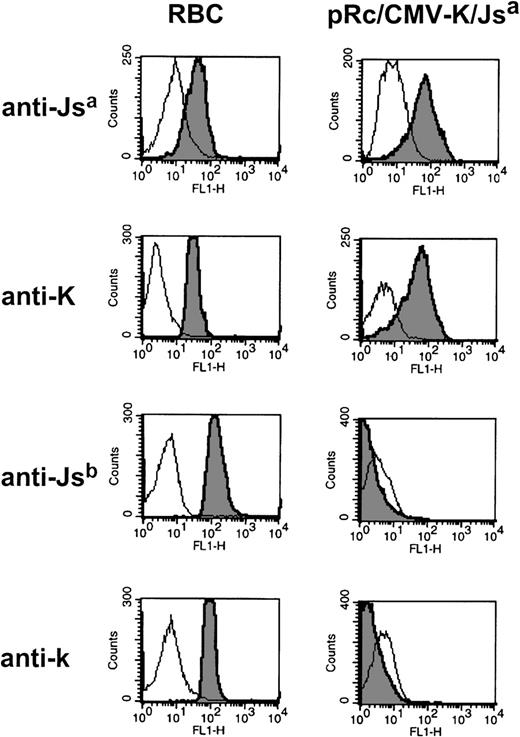 Fig. 4. Surface expression of two low incidence antigens on a single Kell protein. Flow cytometric analysis of 293T cells transiently transfected with the Kell cDNA encoding mutations responsible for K and Jsa antigens (pRc/CMV-K/Jsa). Alloimmune sera used were anti-Jsa (AM), and anti-K (6735416), Jsb (NM), and anti-k (GUE).