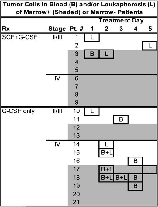 Fig. 6. Diagrammatic chart of the timing of each positive specimen. Shading indicates cases in which baseline bone marrow was positive. Boxes indicate tumor-positive specimen. L, tumor-positive leukapheresis; B, tumor-positive, premobilization peripheral blood sample; B + L, both leukapheresis and premobilization peripheral blood specimen positive.