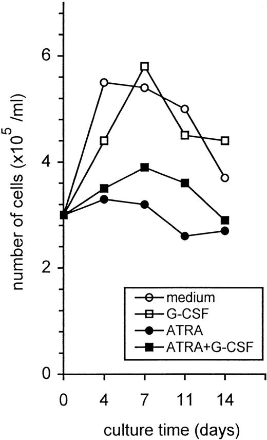Fig. 1. Proliferation of t(11;17)-positive leukemia cells in response to G-CSF and ATRA. Mononuclear cells, consisting of more than 90% of leukemic cells, were isolated from the peripheral blood at first diagnosis. Cells were cultured at 2 × 105 cells/mL with medium alone, G-CSF (0.1 μg/mL), ATRA (10−6mol/L), or with a combination of ATRA and G-CSF. At the indicated times cell numbers were counted. Values represent the mean of triplicate measurements.