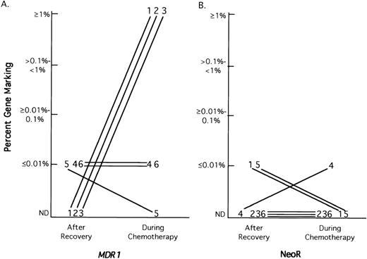 Fig. 4. Semiquantitative PCR analysis G1MD (A) and G1Na (B) marking in granulocytes at hematopoietic recovery and during MDR chemotherapy. Semiquantitative PCR analysis for G1MD and G1Na was performed on DNA from granulocytes obtained at hematopoietic reconstitution and during each cycle of chemotherapy. The maximal level of marking for each vector at hematopoietic recovery and at any time during chemotherapy is depicted for each patient. The patient samples are referred to by patient number.