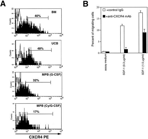 Fig. 1. CXCR4 is expressed on CD34+cells and mediates SDF-1–induced responses. (A) Flow cytometric analysis of CXCR4 expression on CD34+ cells from bone marrow (BM), umbilical cord blood (UCB), G-CSF mobilized peripheral blood (MPB) cells, or cyclophosphamide plus G-CSF (CY/G-CSF) MPB. Low-density cells were stained with CD34 FITC, CD45TC, and either a control mouse antibody IgG2a (empty histograms) or anti-CXCR4 MoAb (filled histograms), revealed by goat anti-mouse PE antibody, as described in Materials and Methods. The analysis shows the staining of a gated population of low SSC, CD34+, CD45dull cells. (B) Inhibition of SDF-1–dependent chemotaxis by anti-CXCR4 antibody. Migration of BM CD34+ cells in response to SDF-1 (1.5 and 0.3 μg/mL, respectively) and in the presence of 10 μg/mL of either 12.G5 anti-CXCR4 MoAb (▪), or an isotype-matched control mouse IgG (□).