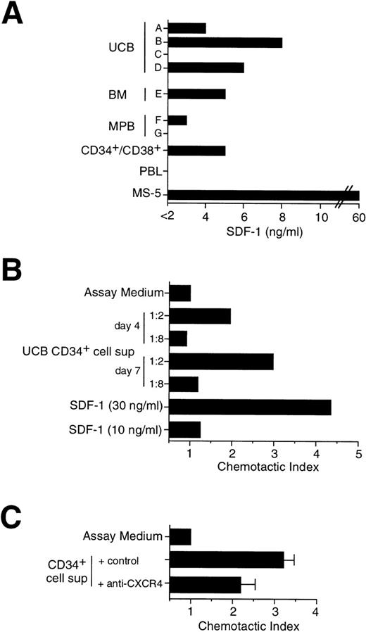 Fig. 3. Secretion of SDF-1 by cultured CD34+ cells. (A) Determination of SDF-1 Ag in CD34+ cell supernatant by ELISA. CD34+ cells (2 × 105/mL) were cultured for 5 days in serum-free medium in the presence of cytokines. Cell supernatants were obtained from: different donors (A through G) and sources (UCB, BM, MPB) of CD34+ cells; sorted MPB CD34+/CD38+ cells; a human polyclonal T-cell line (PBL); the mouse stromal cell line MS-5. Supernatants were assayed for the presence of SDF-1 by an Ag capture ELISA, as indicated in Materials and Methods. (B) Migration of CD34+ cells in response to serum-free supernatant from UCB CD34+ cells cultured in the presence of IL-3, SCF, and IL-6 for 4 days and 7 days, respectively. Chemotaxis to serum-free medium containing cytokines (assay medium) and to low doses of SDF-1 (10 ng/mL and 30 ng/mL) are shown as controls. (C) Inhibition of chemotaxis induced by supernatant from CD34+ cells. Chemotaxis of CD34+ cells in response to 5 days supernatant from UCB CD34+ cells in the presence of an anti-CXCR4 MoAb or of a control MoAb.