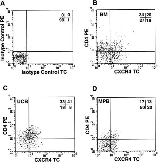Fig. 4. Coexpression of HIV-1 X4 coreceptors on BM, UCB, and MPB CD34+ cells. Flow cytometric analysis of purified CD34+ cells labeled with isotype control PE/TC (A) or anti-CD4 PE and anti-CXCR4 TC (B, bone marrow; C, umbilical cord blood; D, G-CSF–mobilized peripheral blood).
