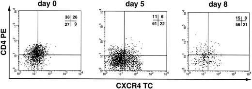 Fig. 6. CXCR4 and CD4 expression during in vitro culture of CD34+ cells. Flow cytometric analysis of CXCR4 and CD4 expression on UCB CD34+ cells cultured for 0, 5, and 8 days, respectively. Cells were stained with anti-CD34 FITC, anti-CD4 PE, and anti-CXCR4 TC and analyzed for HIV-1 coreceptor expression on the subpopulation of cells that maintain the CD34 antigen during the culture. Quadrant regions were set using isotype matched-control antibodies. Similar results were obtained for uninfected and HIV-1–infected cells.
