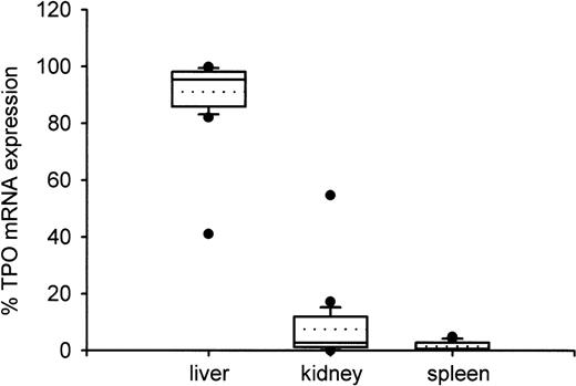 Fig. 4. Distribution of TPO gene expression between liver, kidney, and spleen. Boxes indicate the median (straight line) with 25th and 75th percentiles. In addition, error bars with 10th and 90th percentiles, outliers (circles), and mean value (dotted line) are shown. The fractional amount of TPO gene expression in liver was significantly higher than in kidney or in spleen (P < .001), while kidney and spleen did not differ significantly (P = .12). Only one patient showed TPO mRNA expression below 80% in the liver and above 20% in the kidneys.