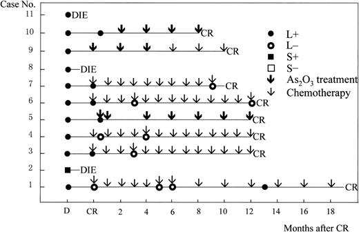 Fig. 3. RT-PCR and follow-up data of 11 newly diagnosed patients. D, at diagnosis; CR, complete remission; L/S, long/short-type isoform of PML-RAR transcripts. Arrows indicate treatment protocol, As2O3 or chemotherapy, as postremission therapy.