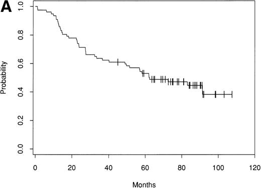 Fig. 1. Kaplan-Meier estimate of probability of DFS (A) and OS (B) for 153 patients with indolent follicular lymphoma after ABMT.