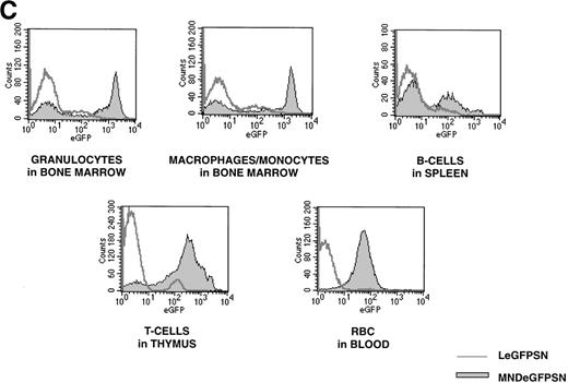 Fig. 2. FACS analysis of eGFP expression. FACS dot blots and histogram blots from a representative pair of mice are shown. (A and B) Cells from bone marrow, spleen, thymus, and blood from recipients of LeGFPSN-transduced, MNDeGFPSN-transduced, and LN-transduced (data not shown) marrow were harvested and analyzed by FACS for eGFP expression (x axis) in granulocytes (Gr-1), monocytes/macrophages (MAC-1), B cells (B220), T cells (CD4, CD8), and RBC (Ter-119). Lineage-specific staining is shown on the y-axis. Quadrant statistics give the percentage of gated events. (C) Distribution of fluorescence intensity is shown in histogram plots for LeGFPSN (dark line) and MNDeGFPSN (solid area).