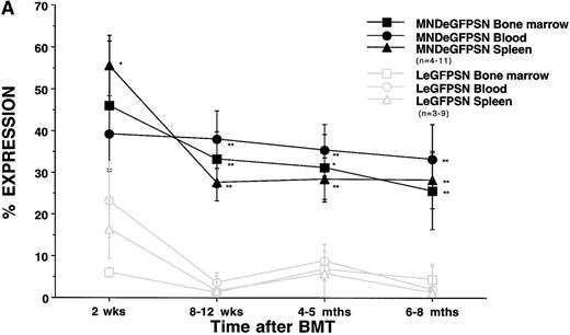 Fig. 3. eGFP expression in tissues. eGFP expression was assessed in bone marrow, spleen, blood (A), and thymus (B) from recipients of LeGFPSN-transduced, MNDeGFPSN-transduced, and LN-transduced (data not shown) bone marrow 2 weeks, 8 to 12 weeks, 4 to 5 months, and 6 to 8 months after BMT. Values are given as the mean ± standard error of the mean. n is the number of animals analyzed for each time point and vector. * and ** mark differences in the percentage of expression between MNDeGFPSN and LeGFPSN that are statistically significant (*P < .05; **P < .005).