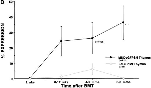 Fig. 3. eGFP expression in tissues. eGFP expression was assessed in bone marrow, spleen, blood (A), and thymus (B) from recipients of LeGFPSN-transduced, MNDeGFPSN-transduced, and LN-transduced (data not shown) bone marrow 2 weeks, 8 to 12 weeks, 4 to 5 months, and 6 to 8 months after BMT. Values are given as the mean ± standard error of the mean. n is the number of animals analyzed for each time point and vector. * and ** mark differences in the percentage of expression between MNDeGFPSN and LeGFPSN that are statistically significant (*P < .05; **P < .005).
