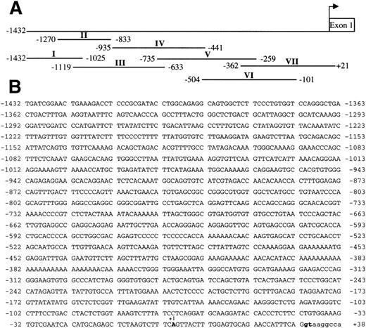 Fig. 3. Sequence of the GPV gene promoter and DNA fragments of the 5′-flanking sequence used for DNase I protection assays. The GPV promoter was numbered from an arbitrary start site common to Dami cells and platelets, which conforms to the consensus start of platelet TATA-less gene (Table 2). (A) Alignment of the fragments I to VII with the −1432/+21 GPV 5′-flanking segment. The fragments were checked by sequencing before 5′-end-labeling and use in DNase I protection assays. Footprinting analyses of III, IV, VI, and VII are reported in Figs 4 through 7. (B) Sequence of the GPV promoter. The transcription start site is denoted +1, the intron sequence is in lowercase characters, and the intron donor splice site is in bold characters.