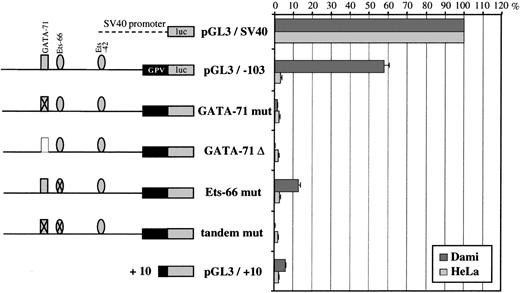 Fig. 10. Reporter mutation analysis of the GPV GATA-71/Ets-66 tandem. On the left is a schematic diagram of the GPV promoter/luciferase constructs. Crossed-out GATA-71 or Ets-66 corresponds to mutation of these sites and is noted as “mut” (see Materials and Methods). “▵” corresponds to deletion of the GATA-71 site. On the right are the luciferase activities of the constructs after transfection into Dami and HeLa cells. Cotransfection with a sea pansy/luciferase construct was used to normalize for transfection efficiency. Each point is the mean ± SEM of at least 3 experiments performed in triplicate.