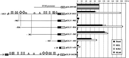 Fig. 11. Comparison of the promoter activities of pGL3/−1413 and its deletion constructs in Dami, HEL, K562, and HL60 cells. On the left is a schematic diagram of the GPV promoter/luciferase constructs (see Fig 8). On the right are the luciferase activities of the constructs after transfection into Dami, HEL, K562, and HL60 cells. Cotransfection with a sea pansy/luciferase construct was used to normalize for transfection efficiency, and points are each the mean ± SEM of at least 3 experiments.