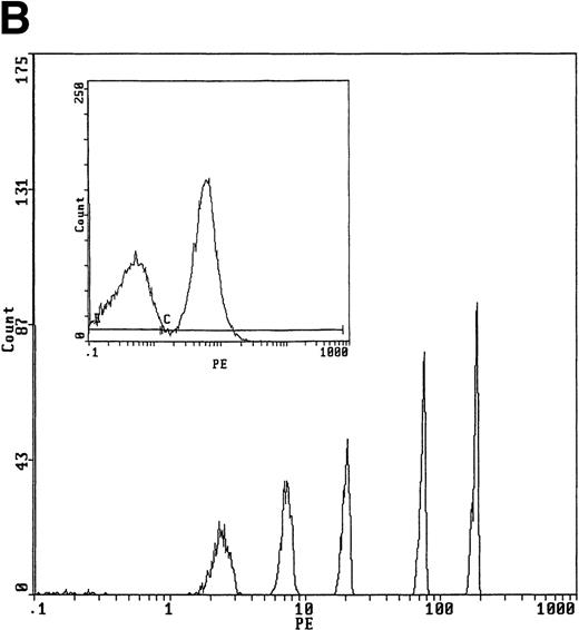 Fig. 3. Expression of EE372 receptors on adult erythroid progenitor cells expanded ex vivo. (A) Using conditions developed by Panzenbock et al,40 erythroid progenitor cells were expanded from the marrow of transgenic (EE372) and control mice (wt, wild-type). EE372 expression was assayed using an antibody specific to the hEGF receptor extracellular domain. PE, phycoerythrin fluorescence intensity. FALS, forward angle light scatter. (B) Example estimate of EE372 receptor densities. Phycoerythrin molecular equivalent microbeads were used to generate a calibration profile (3,800, 12,000, 34,000, 124,000, and 300,000, reading left to right). This profile (and regression analyses) then were used to estimate EE372 receptor densities on marrow cells expanded ex vivo (see inset).
