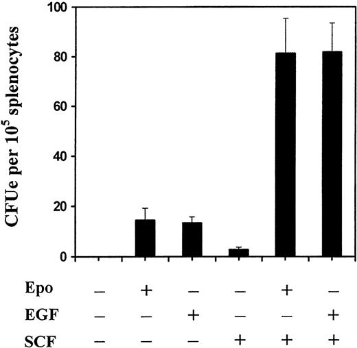 Fig. 4. EE372 mediates hEGF-dependent CFUe development and synergizes with c-Kit. The ability of erythroid splenocytes from TAP-treated EE372 mice to form hemoglobinized colonies was assayed in the absence of cytokines or the presence of either Epo (5 U/mL), hEGF (20 ng/mL), SCF (50 ng/mL), Epo plus SCF, or hEGF plus SCF. Benzidine-positive colonies (CFUe) were scored at 48 hours of culture. Values are the means (± standard error) of 3 assays and are representative of 2 independent experiments.