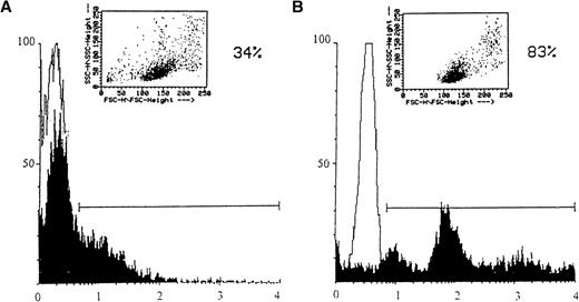 Fig. 2. Binding of EBV to T and B cells (A and B, respectively). Affinity-purified T or B cells derived from a healthy donor’s peripheral blood (shown in upper right inserts) were incubated at 1 × 106 cells/200 μL on ice for 2 hours with 1/10 vol of concentrated B95-8 virus or mock virus stock preparations. Cells were washed with cold PBS and stained for bound gp350 using anti-gp350 MoAb, 2L10. Samples were developed with FITC-conjugated goat antimouse IgG. Results were plotted on a logarithmic scale. Virus- and mock-infected cells are indicated by solid or open histograms, respectively. The percentage of fluorescent cells greater than that of the mock-infected cells is indicated above the bar. T and B cells were 87% and 92% viable, respectively, after affinity purification, as measured by trypan blue exclusion.
