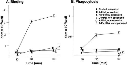 Fig. 2. Binding and phagocytosis of opsonized SRBC by primary rat hepatocyte cultures at different time points after Ad-mediated FcγRIIA cDNA gene transfer. Primary hepatocytes were infected with AdNull and AdFcγRIIA at 10 moi. After 48 hours, cells were incubated with IgG-coated 51Cr-labeled SRBC for 10, 30, and 60 minutes. As a control, the cells were incubated with nonopsonized SRBC for 60 minutes. To evaluate binding of IgG-coated SRBC to primary hepatocytes, cells were washed with PBS and then lysed by incubation with 0.5% SDS for 10 minutes. To evaluate SRBC phagocytosis by the primary hepatocytes, cells were washed with PBS and the SRBC bound to the cell surface were lysed by incubation with hypotonic lysis buffer for 1 minute. The cells were lysed by incubation with 0.5% SDS for 10 minutes and the radioactivity of lysate was quantified. (A) Binding of opsonized SRBC at 10, 30, and 60 minutes to hepatocytes that were not infected (control; •), infected with AdNull (▪), or infected with AdFcγRIIA (▴). Also indicated as controls are parallel cultures of cells incubated with nonopsonized SRBC for 60 minutes with uninfected hepatocytes (○), AdNull-infected hepatocytes (□), and AdFcγRIIA-infected hepatocytes (▵). (B) Phagocytosis of opsonized RBC at 10, 30, and 60 minutes. The symbols are identical to that in (A). For all data, shown are the means of activity (dpm)/well from 3 measurements ± standard error.