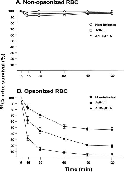 Fig. 4. Clearance of 51Cr-labeled SRBC from the circulation after in vivo Ad-mediated FcγRIIA cDNA gene transfer. Sprague-Dawley rats were administered AdFcγRIIA or AdNull intravenously (109 pfu). After 48 hours,51Cr-labeled opsonized (IgG-coated) RRBC or nonopsonized RRBC as controls were injected intravenously. At 5 to 120 minutes, blood samples were collected and 51Cr-radioactivity measured using a gamma scintillation counter. The level of51Cr-RRBC in the blood was expressed as a percentage of the value obtained at 5 minutes (100%) after injection. (A) Clearance of nonopsonized RRBC. Control, no vector administered (○); AdNull (□); AdFcγRIIA (▵). Each point represents the mean and standard error from 3 animals in each group. (B) Clearance of opsonized RRBC. The symbols are identical to those used in (A). Each point represents mean and standard error from 14 animals in control group, 12 animals in group infected with AdNull, and 17 animals infected with AdFcγRIIA.