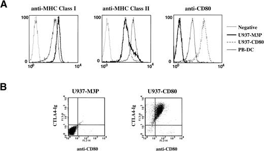 Fig. 1. MHC class I and II and CD80 expression by U937 cells. (A) Single-color labeling demonstrated that U937 cells have similar levels of MHC class I and II as DCs. Control U937-M3P cells were CD80−, and U937-CD80 cells had a high level of CD80 expression that was greater than that of DC. (B) Dual-labeling using anti-CD80 antibody and CTLA4.Ig demonstrated no CD80/CD86 expression on the control U937-M3P population and high anti-CD80 as well as CTLA4.Ig binding on the U937-CD80 population.