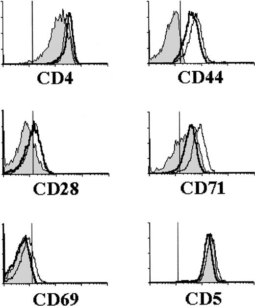Fig. 2. Cell-surface phenotype of individual subsets of CD8+and CD8β+ human large pre-T cells. Large CD3− DP pre-T cells shown in Fig 1 were stained with directly labeled MoAb against the indicated cell-surface molecules. FCA was performed on electronically gated CD8+β− (shaded areas) or CD8+β+ (unshaded areas, bold line) cells. Large CD3low pT+ pre-T cells, shown to be homogeneously CD8+β+ (see Fig1), were included in the study for comparison (unshaded areas, thin line). Background values (vertical lines) were determined with isotype-matched irrelevant MoAb. A representative analysis out of three independent experiments is shown.