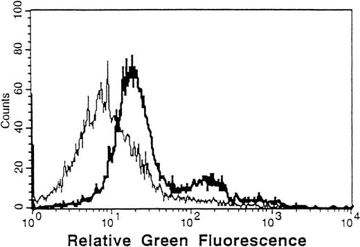 Fig. 1. CLL cells can be infected with an adenovirus encoding GFP. CLL cells were infected with AdGFP, containing the GFP gene under the control of a CMV promoter (Quantum Biotechnologies). Three days later, cells were assayed for green fluorescence by flow cytometry using a cytometer equipped with an argon laser at 488 nm. The heavy line represents the fluorescence of infected cells. The light line represents the fluorescence of uninfected cells.