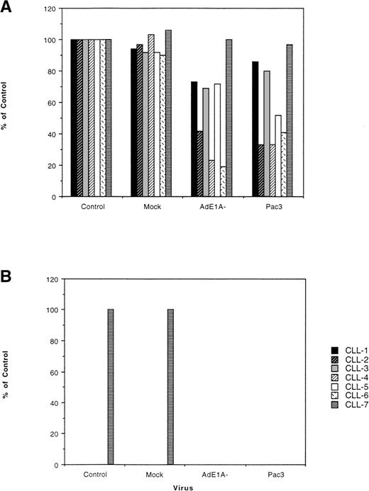 Fig. 3. Attenuated adenovirus infection of CLL cells induces cytotoxicity. Primary CLL cells from 7 patients were infected with Ad5dl309, heat-inactivated Ad5dl309 (mock-infected), an E1A deleted adenovirus (E1A−), or an adenovirus with a deletion of E1A and E1B (Pac3). At the indicated times, cell viability was determined by cell counting and trypan blue staining and compared with the viability of uninfected and mock-infected cells. (A) The degree of cytotoxicity seen 4 days after infection of primary CLL with each of the adenoviruses. (B) The degree of cytotoxicity seen 20 days after infection of primary CLL cells with each of the adenoviruses. In both figures, control refers to uninfected cells and mock refers to cells infected with heat-inactivated virus.
