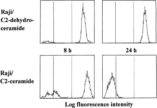 Fig. 1. Reduction of the mitochondrial transmembrane potential by a cell-permeable ceramide in Raji cells. Cells were cultured with either C2-ceramide (20 μmol/L) or C2-dehydroceramide (20 μmol/L) for the indicated periods. After incubation, cells were harvested for measurement of the mitochondrial transmembrane potential.