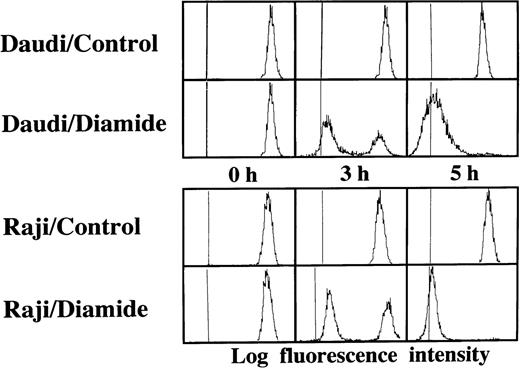 Fig. 2. Disruption of the mitochondrial transmembrane potential by PT inducers. Raji and Daudi cells were cultured in the presence or absence of 1 mmol/L diamide for the indicated periods. Reduction of the mitochondrial transmembrane potential was observed in both Daudi and Raji cells. Similar results were obtained with t-BHP (data not shown).