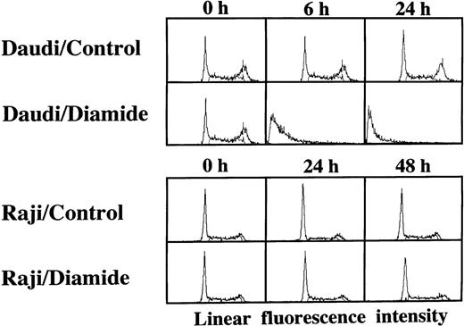 Fig. 3. Failure to induce DNA degradation in Raji cells by PT inducers. After treatment with 1 mmol/L diamide, the cells were fixed, stained with PI, and subjected to flow cytometry. This experiment was repeated 3 times with similar results. The use of t-BHP also gave similar results (data not shown).