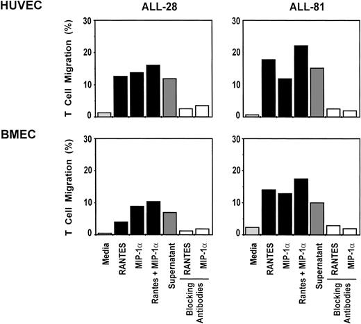 Fig. 2. Transendothelial migration of antileukemia T-cell lines in response to recombinant chemokines or supernatants containing chemoattractants. Migration was assayed through Transwell inserts covered with the HUVEC cells (upper panel) or the bone marrow endothelial cell line BMEC (lower panel). The bars represent the percentage of input T cells migrated over the 6-hour chemotaxis assay. RANTES and MIP-1 were used at 100 ng/mL. The supernatant is from the culture of autologous T-cell lines (day 30) restimulated for 48 hours by irradiated CD40-stimulated leukemia cells (2:1 ratio). The combination of anti–LFA-1 (5 μg/mL), anti–ICAM-1 (5 μg/mL), and anti-CD18 (5 μg/mL) was used as blocking antibodies. Peripheral blood and/or bone marrow T cells purified by negative selection were used as negative controls; no significant transendothelial migration was observed through either HUVEC (<3%) or BMEC (<2%). The results shown are from 1 experiment (2 patients) and are representative of 3 different patients studied using the HUVEC and the BMEC layers.