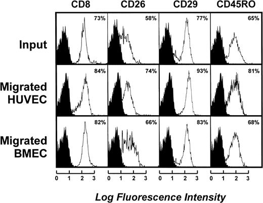 Fig. 3. Phenotypic characterization of transmigrated antileukemia T-cell lines. Data represent both input (upper section) and migrated cell populations after the 6-hour chemotaxis assay through HUVEC endothelial cell layer (middle section) or the BMEC endothelial cell layer (lower section). The results are from a single patient and are representative of 3 different patients. Open areas represent fluorescence distribution of the molecules indicated and solid areas represent that of isotype-matched control antibodies. The cell number is shown on the y-axis.