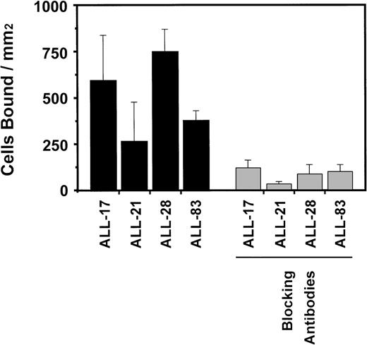 Fig. 5. Autologous antileukemia T-cell lines adhere to autologous bone marrow stroma. Results indicate the mean ± SD number of cells bound per surface area from 1 representative experiment (3 independent experiments with T-cell lines from 6 patients). Background adherence was determined by the binding of these cells to BSA-coated wells. Stromal cell layers were established in 96-well plates as described in Materials and Methods. The blocking antibodies anti-CD29, anti-CD49d/VLA-4, and anti-CD106/VCAM-1 were used at 5 μg/mL.