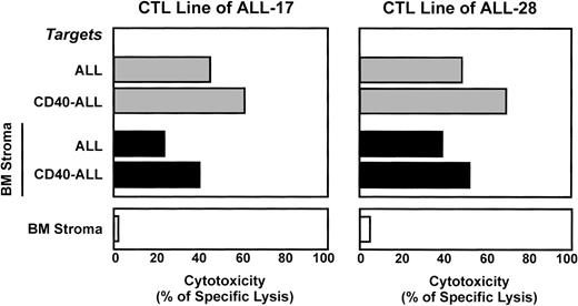 Fig. 6. Antileukemia T-cell lines are capable of lysing syngeneic leukemia cells in the presence of bone marrow stroma. Stromal cell layers were established as described in Materials and Methods. Cell-mediated cytotoxicity was measured using the 51Cr release assay and is represented as a percentage of specific lysis. The results shown are from 2 patients representative of 4 independent experiments (4 different patients) and correspond to an effector:target ratio of 40:1. On the lower panel, stromal cells were labeled with51Cr and used as target cells.