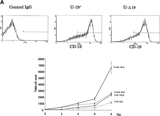 Fig. 5. The growth-inhibitory effect is specific to CD19, but not restricted to myeloma cells. (A) The expression vectors pCI-CD19 and pCI-▵19 were electroporated into the human myeloma cell line, U-266, to generate U-19+ and U-19 cells, respectively, as detected by flow cytometry after staining with PE-labeled anti-CD19 (top). Cells expressing surface CD19 were sorted after 2 weeks of selection in G-418 (1 mg/mL) and used for evaluation of growth pattern (bottom). Data are from 3 independent experiments. The mean ± SD of cell number at each time is shown. (B) The pCI-CD19 and pCI-▵19 vectors were transfected by lipofection into the human erythroleukemia cell line, K-562, to generate K562-19+and K562-19, respectively. After 2 weeks of selection in G-418 (1 mg/mL), surface CD19 expression was confirmed by flow cytometry after staining with PE-labeled anti-CD19 (top), and the in vitro growth curve of these cells is shown as mean ± SD values of cell numbers at the indicated time points (bottom).