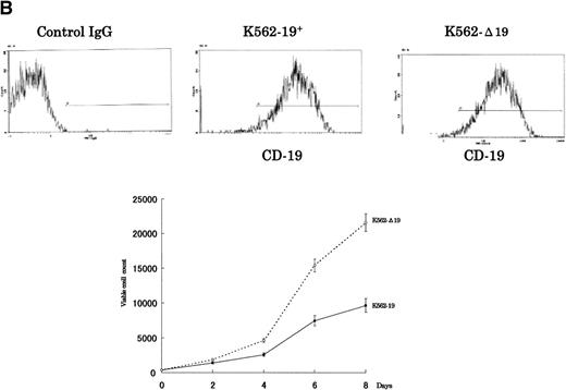 Fig. 5. The growth-inhibitory effect is specific to CD19, but not restricted to myeloma cells. (A) The expression vectors pCI-CD19 and pCI-▵19 were electroporated into the human myeloma cell line, U-266, to generate U-19+ and U-19 cells, respectively, as detected by flow cytometry after staining with PE-labeled anti-CD19 (top). Cells expressing surface CD19 were sorted after 2 weeks of selection in G-418 (1 mg/mL) and used for evaluation of growth pattern (bottom). Data are from 3 independent experiments. The mean ± SD of cell number at each time is shown. (B) The pCI-CD19 and pCI-▵19 vectors were transfected by lipofection into the human erythroleukemia cell line, K-562, to generate K562-19+and K562-19, respectively. After 2 weeks of selection in G-418 (1 mg/mL), surface CD19 expression was confirmed by flow cytometry after staining with PE-labeled anti-CD19 (top), and the in vitro growth curve of these cells is shown as mean ± SD values of cell numbers at the indicated time points (bottom).