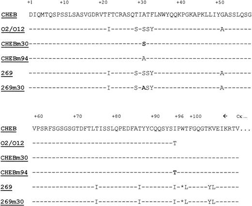 Fig. 1. LCs sequences. Alignment of the primary sequences ofCHEB, 269, and mutated CHEBm30, CHEBm94, and 269m30 proteins. Dashes indicate identities with CHEB’s sequence. Bold residues indicate amino acids, which had been modified by site-directed mutagenesis. Stars indicate absent residues. Amino acids are numbered according to Kabat’s numbering.33