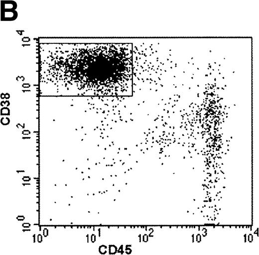 Fig. 2. Growth of purified myeloma plasma cells (PC) from patient no. 1 in a SCID-hu host. SCID-hu host was inoculated with sorted PC. (A) Human Ig concentrations. (B) Dot plot of CD38/CD45 flow cytometry profile of the cells. The sort window used to purify plasma cells is shown. (C and D) X-radiograms showing severe resorption of the myelomatous implanted bone (C) compared with the nonmyelomatous bone of the control host (D), implanted at the same time as (C).