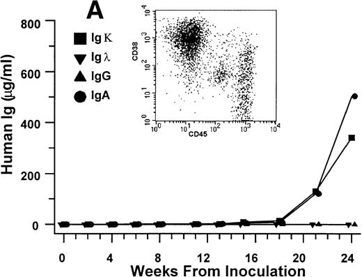 Fig. 3. Human Ig levels (A through C ) and histology of decalcified human bone sections ( D through F ) from SCID-hu hosts inoculated with bone marrow cells ( A and D ), purified plasma cells ( B and E ), and PC-depleted bone marrow cells ( C and F ) from patient no. 2. Inserts demonstrate CD38/CD45 fluorescent profiles and sort windows of cells used for each host.