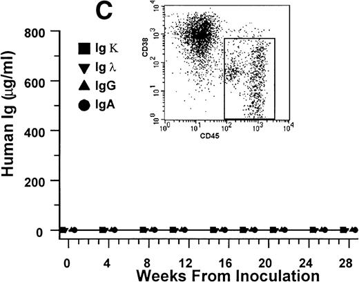 Fig. 3. Human Ig levels (A through C ) and histology of decalcified human bone sections ( D through F ) from SCID-hu hosts inoculated with bone marrow cells ( A and D ), purified plasma cells ( B and E ), and PC-depleted bone marrow cells ( C and F ) from patient no. 2. Inserts demonstrate CD38/CD45 fluorescent profiles and sort windows of cells used for each host.