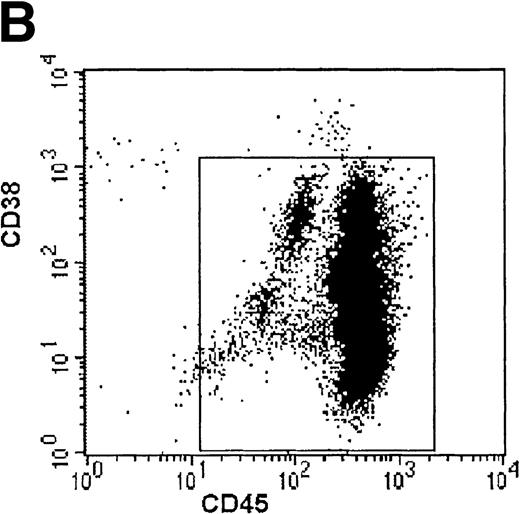 Fig. 4. Growth of myeloma blood cells from patient no. 10 in SCID-hu host. SCID-hu host was inoculated with blood cells (containing 0.1% plasma cells) and with PC-depleted blood cells. (A) Human Ig levels. (•) Blood cells; (○) PC-depleted blood cells; (▪) host inoculated with bone marrow cells containing 11% myeloma plasma cells. (B) Flow cytometry dot plot of CD38CD45 profile of the blood cells. The sort window excluding CD45− and CD45+plasma cells is shown. (C and D) X-radiograms of host injected with blood cells (C) and with PC-depleted blood cells (D). Note severe decalcification of myelomatous human bone in (C).
