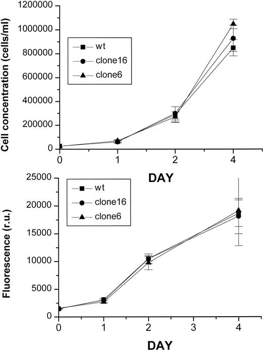 Fig. 3. Growth rates of H-FT–overexpressing clones. The various MEL clones (wt, cl-6 and cl-16) were seeded at the same density (25,000 cells/mL) and their growth rate followed daily for 4 days either by cell count (top) or with Alamar Blue (4-hour development). Data are given as mean of octaplicates ± SE.