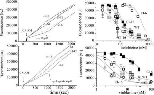 Fig. 4. MDR properties of H-FT–transfected MEL. Left: CAAM uptake into MEL cells and its reversal by verapamil (VP) and cyclosporin (CS). Cells (1 × 106/mL) were suspended in MEM medium at 37°C, supplemented with CA-AM (125 nmol/L) and fluorescence recorded in parallel with time. Verapamil 15 μmol/L (ver) or cyclosporin 6 μmol/L addition is indicated by the arrow. The relative rates of CA-AM entry into cells after and before addition of verapamil were: wt: 1.2; cl-6: 2.8; cl-12: 1.8; cl-16: 1.6. Cl-6 displayed ×3 and ×5 higher IC50 towards vinblastine and colchicine, respectively. Right: viability profiles. The plots depict the fluorescence intensity (540 to greater than 590 nm) of Alamar Blue (AB = 5%) for each cell system at the indicated concentration of the drug (total exposure time to drug: 48 hours and to Alamar Blue: 4 hours; 7 × 103 cells/well; n = 3). The average of n = 3 ± SE was plotted against the respective inhibitor concentration and analyzed by NLSQ (best fits depicted over the experimental points) yielding the following IC50 (μmol/L) for colchicine and vinblastine, respectively: wt (150 ± 47 and 8 ± 1.5); cl-6 (700 ± 23 and 23 ± 1); cl-12 (230 ± 14 and 12 ± 1); and cl-16 (100 ± 23 and 8 ± 1).
