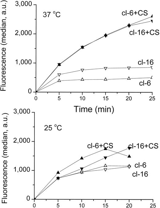 Fig. 5. Uptake of Rhodamine 123 in H-FT–transfected clones. Role of temperature. Uptake of Rhodamine 123 (5 μmol/L in a buffered salt solution) into 106/mL cells was performed at the two indicated temperatures. At different times aliquots were transferred to an ice-cold buffered salt solution, and samples were aliquoted for FACS analysis (104 cells per sample). The median fluorescence values (given as arbitrary units, au) are plotted as a function of time (of n = 3 representative experiments).