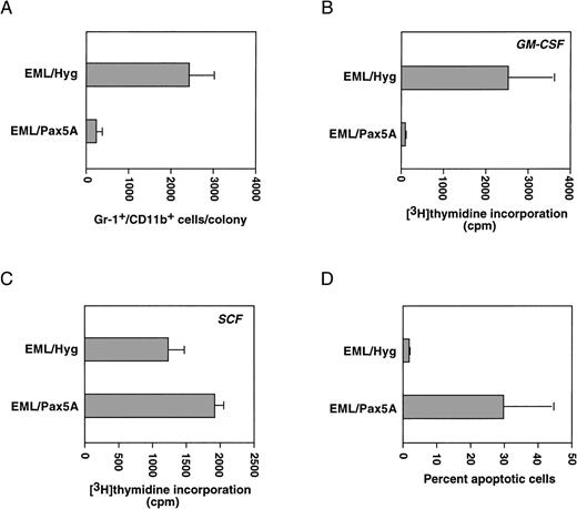 Fig. 4. BSAP/Pax5A-expressing EML cells fail to expand to myeloid growth factors. (A) EML cells were induced to differentiate into myeloid cells as described in Fig 2A and then replated in 1% methylcellulose with 250 U/mL muGM-CSF at 1.5 × 105 cells per 3.5-cm plate. On day 9, the colonies were aspirated and analyzed by flow cytometry to determine the mean number of CD11b+/Gr-1+ cells per colony. The average among 3 control EML/Hyg clones and the average among 3 BSAP/Pax5A-expressing EML clones are shown and were found to be significantly different from each other using the heteroscededastic 1-tailed t-test (P < .001). (B) EML cells induced to differentiate as described in Fig 2A were replated in suspension culture in the presence of 250 U/mL muGM-CSF. After 48 hours of culture, the cells were pulsed with 0.5 μCi 3H-thymidine for 12 hours. The average 3H-thymidine incorporation among 3 control EML/Hyg clones and the average 3H-thymidine incorporation among 3 EML/Pax5A clones are shown and were found to be significantly different from each other using the heteroscededastic 1-tailed t-test (P < .001). (C) Three EML/Pax5A clones and 3 control EML/Hyg clones were split into SCF-containing growth media at 2.5 × 105 cells/mL and pulsed with3H-thymidine after 24 hours of culture for 17 hours. The average 3H-thymidine incorporation among 3 control EML/Hyg clones and the average 3H-thymidine incorporation among 3 EML/Pax5A clones are shown and were found to be significantly different from each other using the homoscededastic 2-tailed t-test (P < .004). (D) EML cells induced to differentiate as described in Fig 2A were replated at 5 × 105 cells/mL in 400 μL media containing 250 U/mL muGM-CSF. Two days later, the cells were stained with propidium iodide and then analyzed for apoptotic cells by flow cytometry. The average percentage of 3 EML/Hyg clones with subdiploid content of DNA and the average percentage of 3 EML/Pax5A clones with subdiploid content of DNA are shown and were found to be significantly different from each other using the homoscededastic 1-tailed t-test (P < .002).