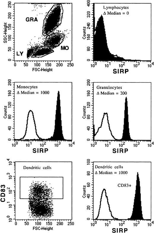 Fig. 2. Expression of SIRP on PB and dendritic cells. Mononuclear PB cells were immunolabeled with MoAb P3C4 (IgG2a) and PE-conjugated goat anti-mouse IgG2a-specific antiserum (filled histogram). Nonbinding IgG2a antibody was used as negative control (black line). Cells were analyzed on a FACSCalibur flow cytometer and gated on lymphocytes (LY), monocytes (MO), or granulocytes (GRA); respectively (n = 6). In vitro generated dendritic cells derived from monocytes were labeled with MoAb P3C4 and stained with PE-conjugated goat anti-mouse IgG2a-specific antiserum and anti-CD83–FITC (IgG1). The histogram shows SIRP expression gated on CD83+ dendritic cells (n = 3).