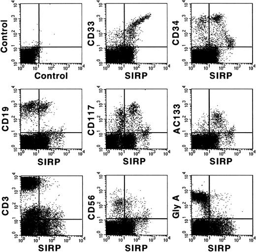 Fig. 3. Coexpression of CD antigens and SIRP on BM subsets. Mononuclear BM cells were analyzed by 2-color immunofluorescence. Cells were labeled with MoAb P3C4 (IgG2a) and stained with FITC-conjugated goat anti-mouse IgG2a-specific antiserum, as well as with PE-conjugated MoAbs against CD33, CD34, CD19, CD117, CD3, CD56, glycophorin A (Gly A), and AC133 antigen. Gated mononuclear cells were analyzed on a FACSCalibur flow cytometer (n = 6).